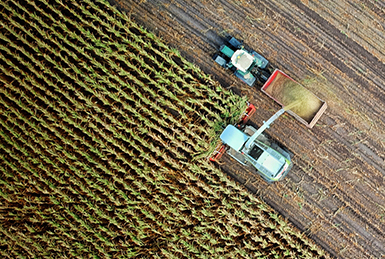 Smart Agriculture