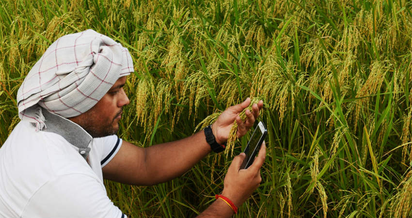 smart agriculture