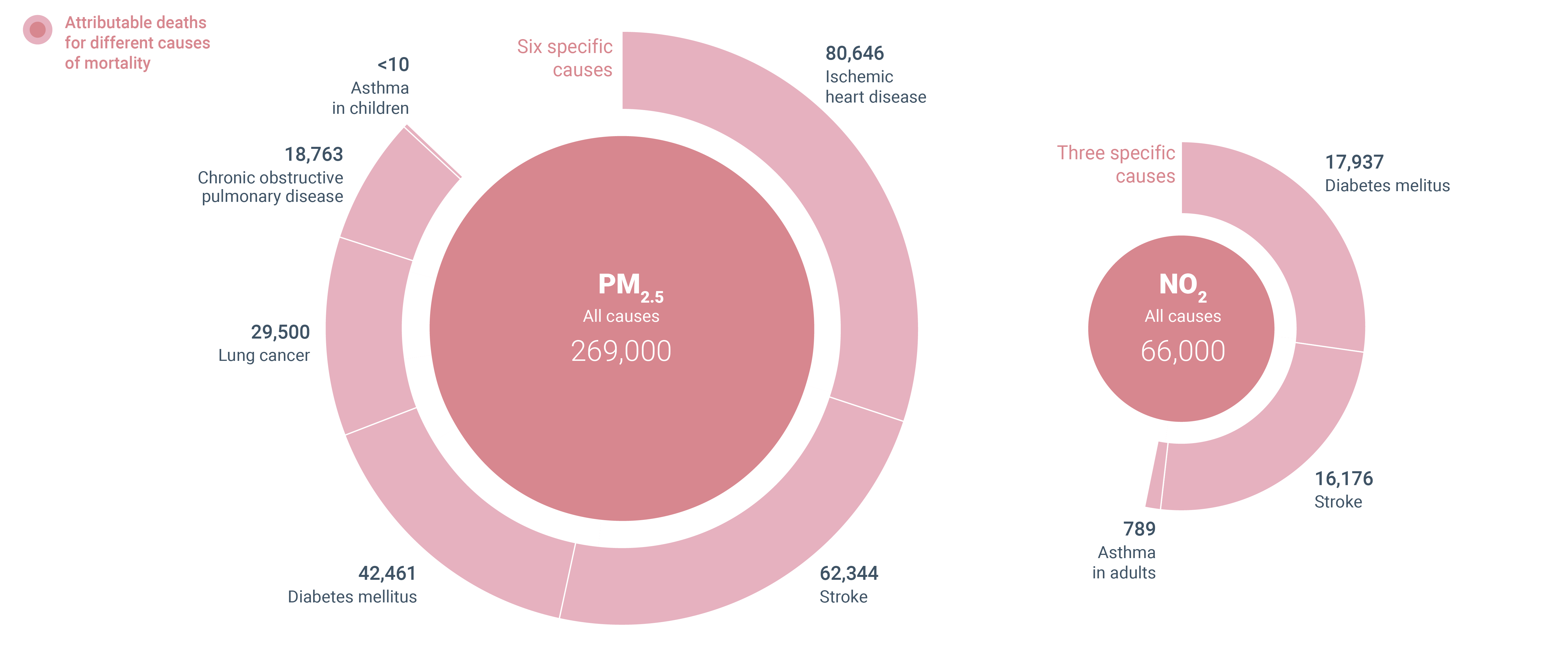 harm-to-human-health-from-air-pollution-2024
