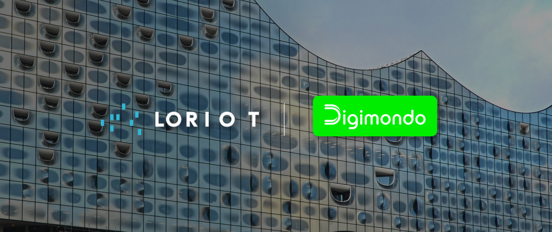 digimondo partnership