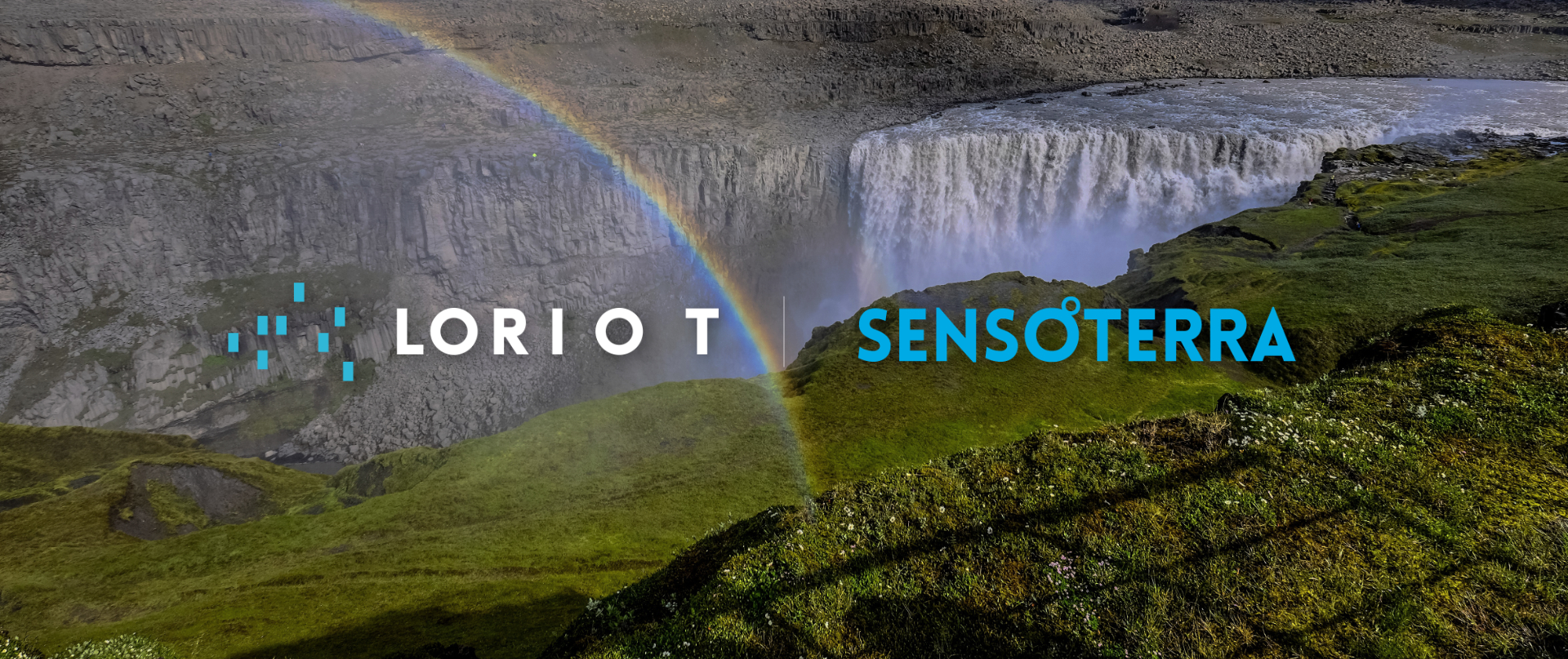 Sensoterra + LORIOT