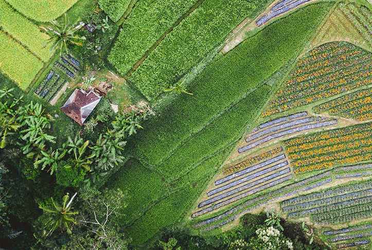 smart agriculture